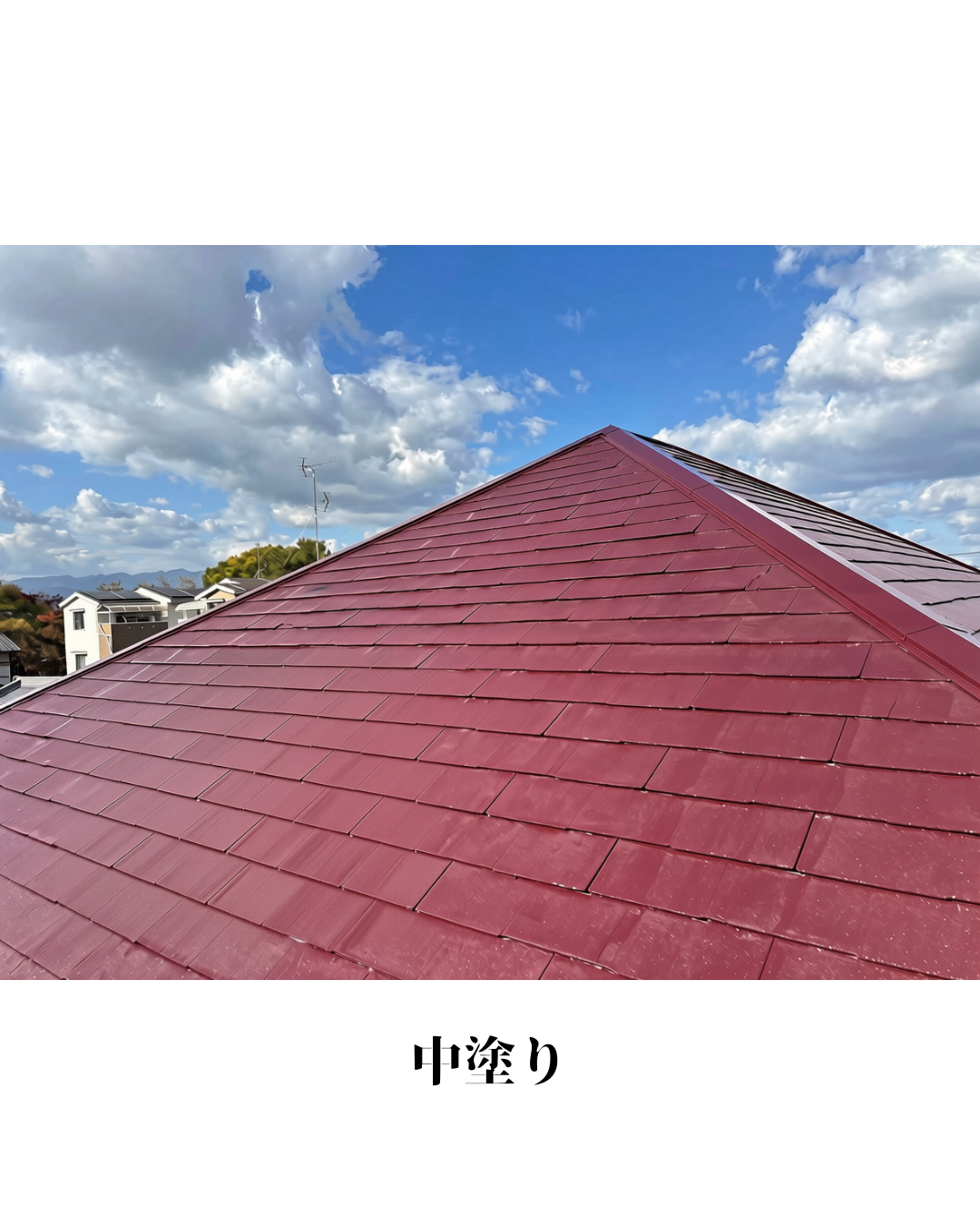multi_image